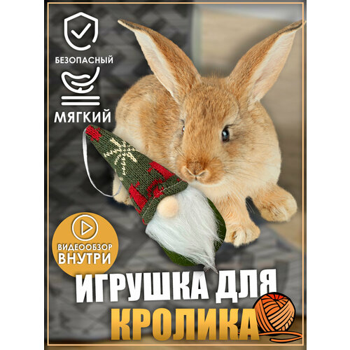 фото Игрушка для кролика, гномик, игрушки для грызунов, для животных