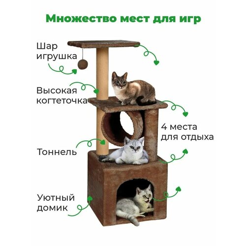 фото Когтеточка для кошек с домиком-тоннель 