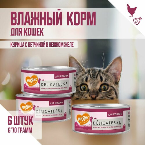 фото Влажный дополнительный корм Мнямс для кошек, Курица с ветчиной в нежном желе, 70г х 6шт