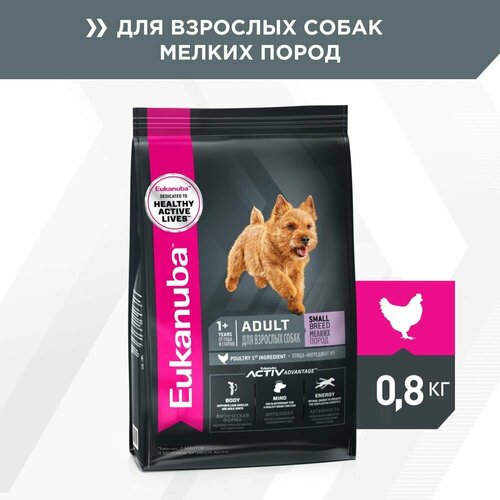 фото EUKANUBA ADULT SMALL BREED 800 гр сухой корм для взрослых собак мелких пород 5шт