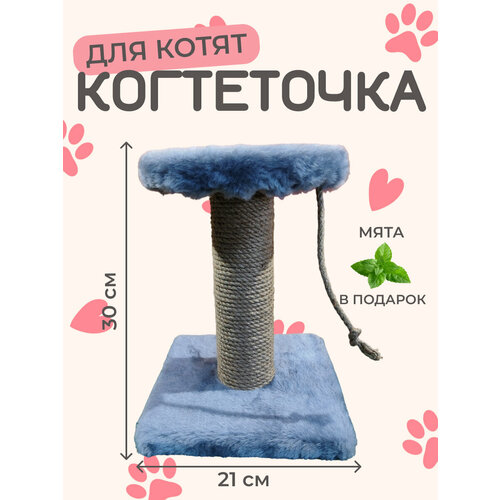 фото Игрушка для котят напольная