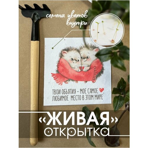 фото Открытки Istok EcoShop Живая открытка для любимой