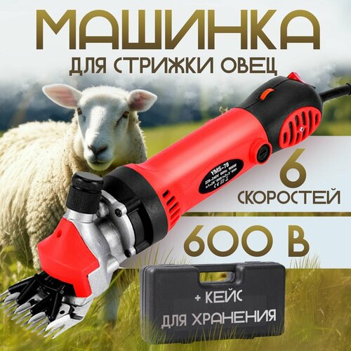 фото Машинка для стрижки овец и баранов 600 W, заказать за 5400 рублей