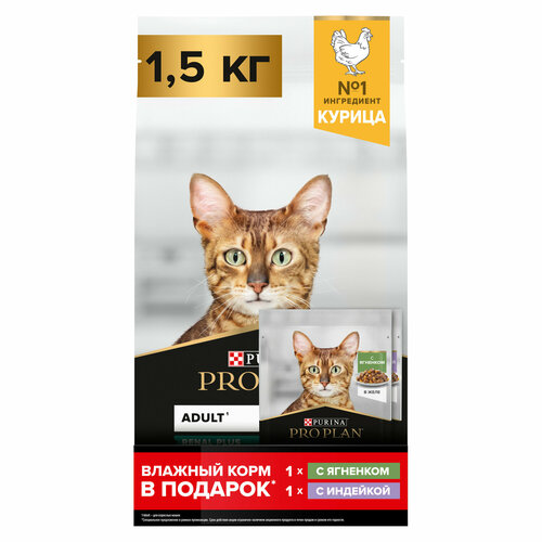 фото Сухой корм PRO PLAN® RENAL PLUS для взрослых кошек, с курицей, 1.5 кг + Влажный корм PRO PLAN® MAINTENANCE для кошек, с ягненком и индейкой, 85 г