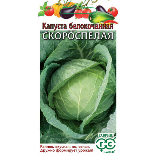 Семена Капуста белокочанная Скороспелая, 0,5г, Гавриш, Овощная коллекция, 10 пакетиков фото