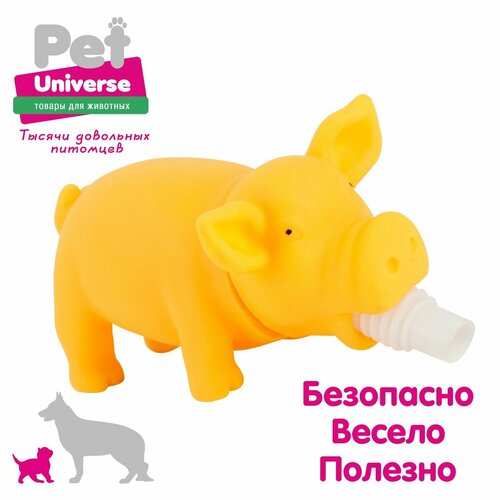 фото Игрушка для собак Pet Universe хрюкающий поросёнок со звуком, 15х6х7 см, винил, жёлтый PU3027Y