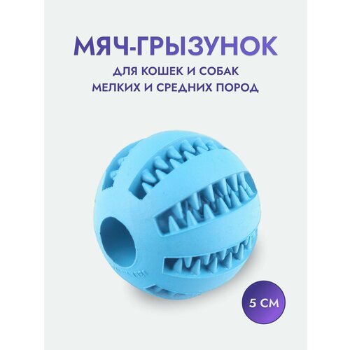 фото Жевательная игрушка мяч грызунок для собак