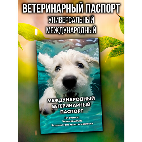 фото Ветеринарный паспорт для кошек и собак международный