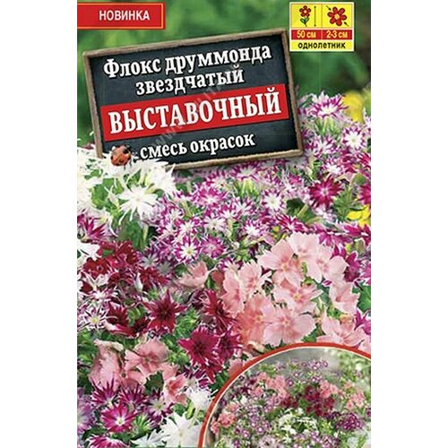 Семена растения флокс выставочный, смесь окрасок фото