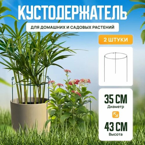 фото Опора для комнатных растений С крючками d35см, h43см в наборе 2 шт, Поддержка для растений, Кустодержатель