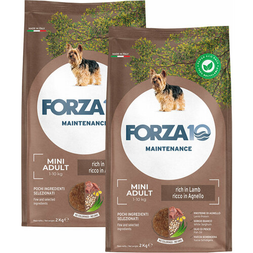 фото FORZA10 DOG MAINTENANCE ADULT SMALL/MEDIUM для взрослых собак маленьких и средних пород с ягненком и рисом (2 + 2 кг)