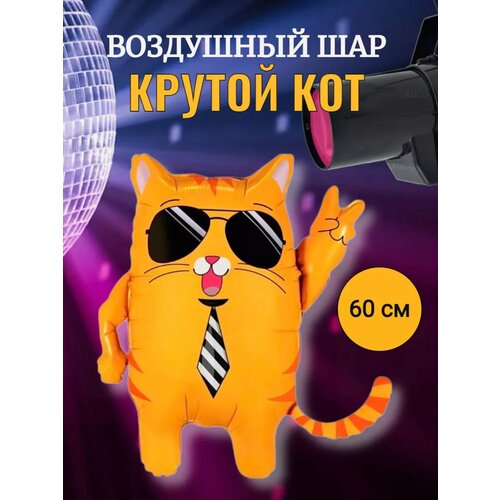 фото Воздушный шар Крутой кот 60 см Дискотека 90 х