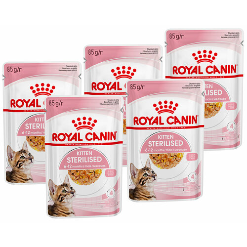 фото ROYAL CANIN KITTEN STERILISED для кастрированных и стерилизованных котят в желе пауч 85 гр 85 гр х 5 шт