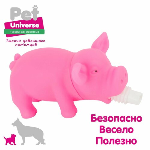 фото Игрушка для собак Pet Universe хрюкающий поросёнок со звуком, 15х6х7 см, винил, розовый PU3027PK