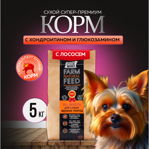 фото Сухой корм для собак мелких пород Buddy Dinner Orange Line Hypoallergenic с лососем 5 кг