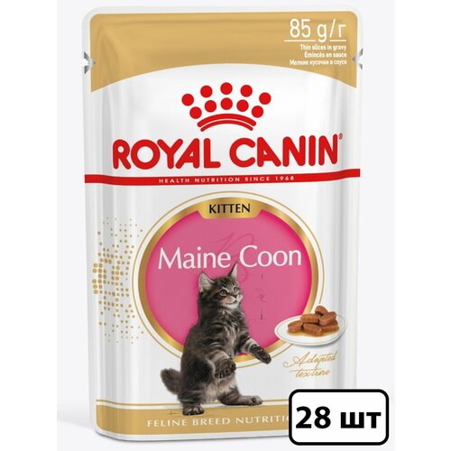 фото Royal Canin влажный корм для котят породы Мэйн Кун, кусочки в соусе (28шт в уп) 85 гр