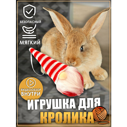 фото Игрушка для кролика, гном, игрушки для грызунов, игрушки для животных