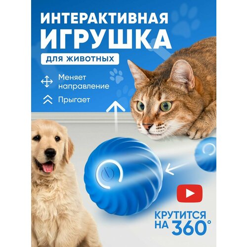 фото Игрушка для кошек и собак мячик интерактивный синий