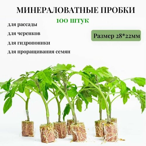 фото Минераловатные пробки 100шт 22*28мм из агроваты для выращивания рассады, укоренения черенков, проращивания семян , гидропоники.