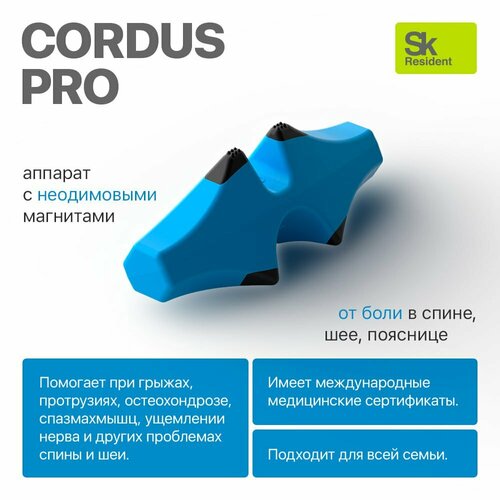 фото Cordus Pro (Кордус Про) - массажер для спины шеи и поясницы.