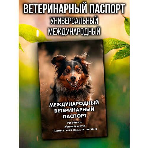 фото Ветеринарный паспорт для кошек и собак международный