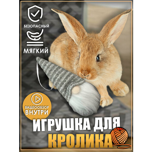 фото Игрушка для кролика, игрушки для грызунов, игрушки для животных