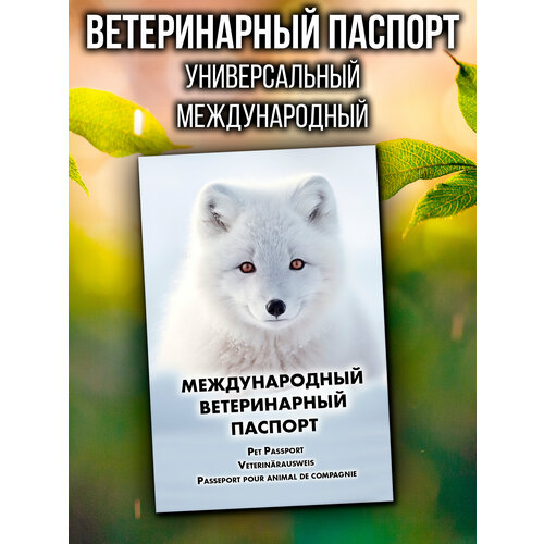 фото Ветеринарный паспорт для кошек и собак международный