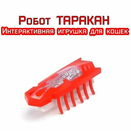 фото Игрушки для кошек таракан на батарейках подарки для детей