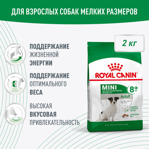 фото Royal Canin Mini Adult 8+ для взрослых собак мелких размеров (до 10 кг) старше 8 лет, 2кг