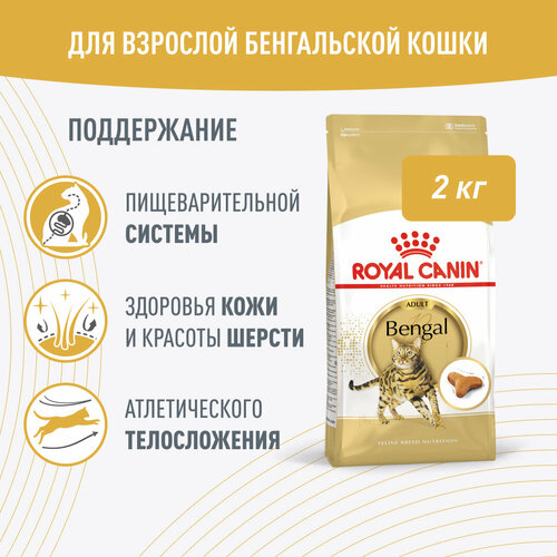 фото Корм сухой ROYAL CANIN Bengal Adult для взрослых бенгальских кошек старше 12 месяцев (бенгал эдалт) 2 кг