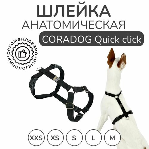 фото Шлейка прогулочная анатомическая для средних пород собак, CORADOG Quick click, размер S, цвет черный