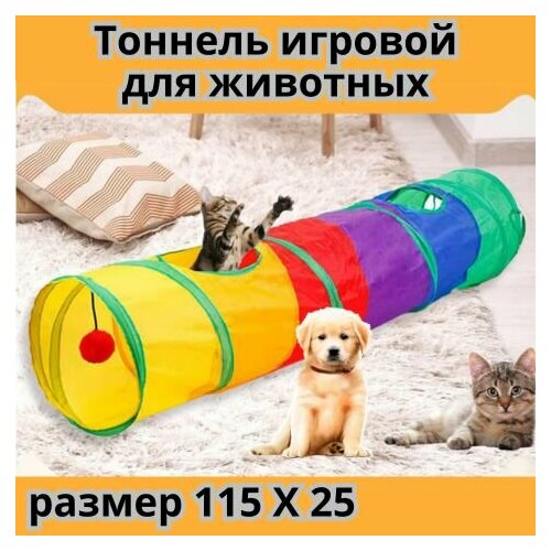 фото Игрушки для животных, кошек и собак