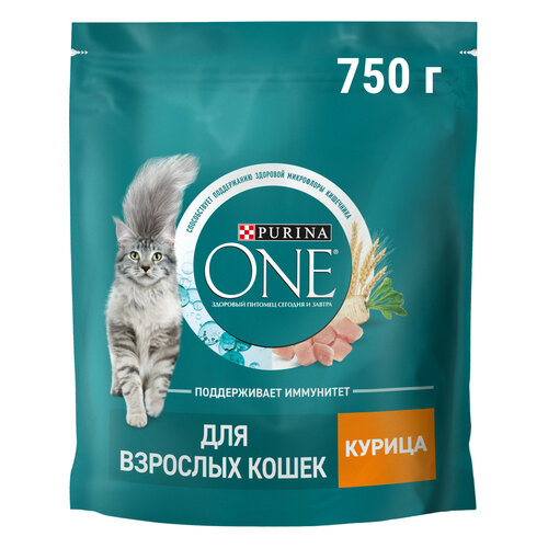 фото Сухой корм Purina ONE® для взрослых кошек с курицей 750 г