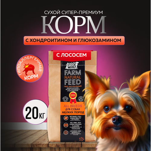 фото Сухой корм для собак мелких пород Buddy Dinner Orange Line Hypoallergenic с лососем 20 кг