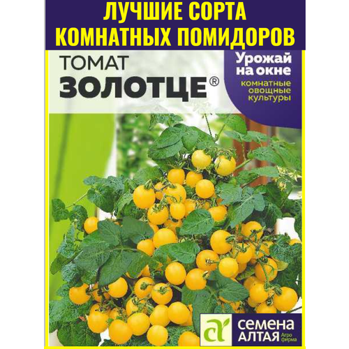 фото Семена раннеспелого томата Золотце - 0,05 г. Подходит для комнатных условий и для открытого грунта