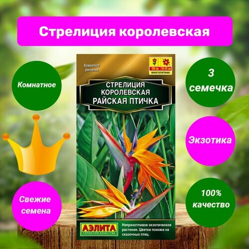 Стрелиция королевская Райская Птичка. 1 пачка 3 семени. Агрофирма 