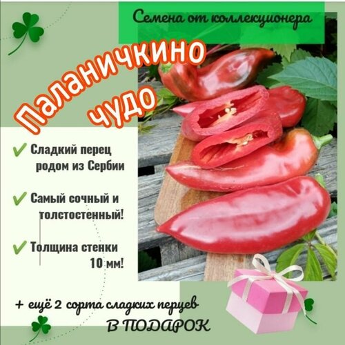 Перец сладкий 