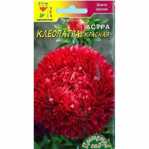 Семена Астра Клеопатра красная, однолетник, (Цветущий Сад) 0,2г фото