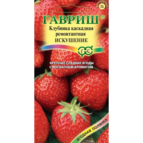 фото Семена Гавриш Ягодная полянка Искушение, каскадная, ремонтантная, 10шт., заказать за 480 рублей