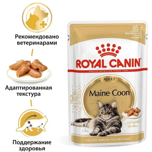 фото Royal Canin Maine Coon Adult Sauce // Корма для кошек / Влажный (85 гр)