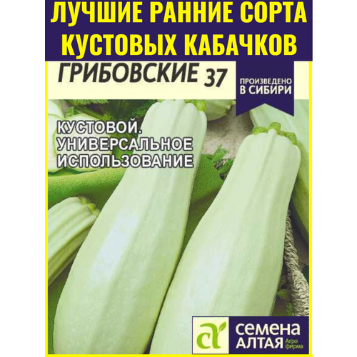 фото Семена кустовых кабачков Грибовские 37 - 2 г. Диетический сорт с нежной и сочной мякотью