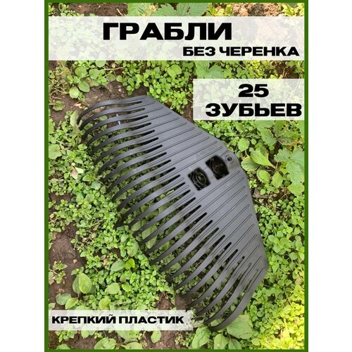 Грабли веерные садовые без черенка 25 зубьев размер 41,5х21х6,5см фото