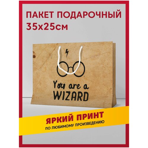 фото Пакет подарочный сувенирный с принтом Harry Potter / Гарри Поттер и школы Хогвартса: Гриффиндор, Слизерин, Пуффендуй, Когтевран