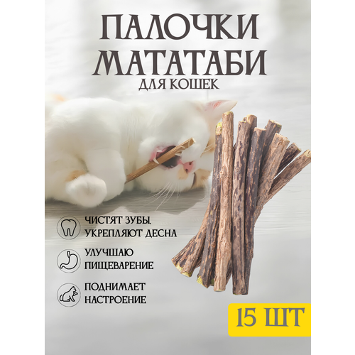 фото Жевательные палочки мататаби 15 штук, с эффектом кошачьей мяты, игрушка для кошек для чистки зубов