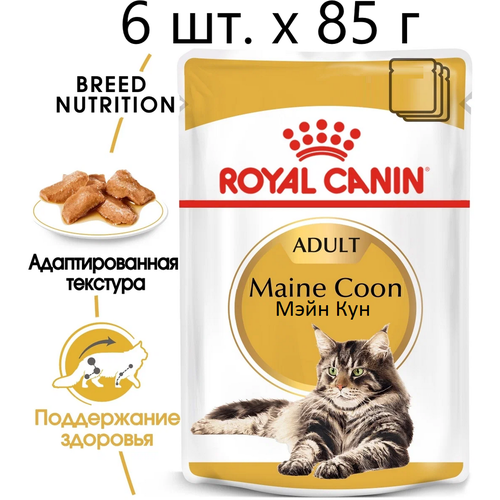 фото Влажный корм для кошек Royal Canin Maine Coon Adult, для взрослых кошек породы мейн-кун, 6 шт. х 85 г (кусочки в соусе)