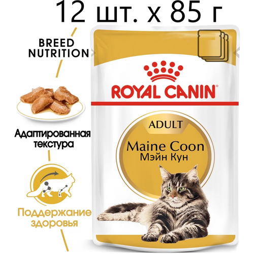 фото Влажный корм для кошек Royal Canin Maine Coon Adult, для взрослых кошек породы мейн-кун, 12 шт. х 85 г (кусочки в соусе)