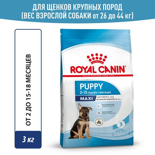 фото Сухой корм Royal Canin Maxi Puppy (Макси Паппи) для щенков до 15 месяцев (для крупных пород), 3 кг