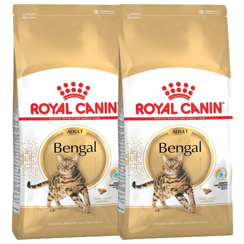 фото Сухой корм для кошек Royal Canin Bengal Adult для взрослых кошек бенгальской породы от 1 года до 12 лет 2 шт. х 2000 г