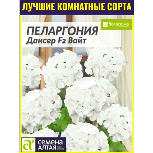 фото Семена комнатной пеларгонии Дансер F2 Вайт - 4 шт. Многолетний зональный гибрид