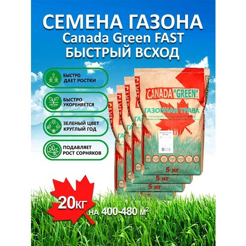 фото Газонная трава семена Канада Грин Быстрорастущий FAST 20 кг/ мятлик, райграс, овсяница семена для газона